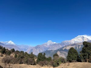 Clear daytime view of the Annapurna mountain range from a forest on the trek