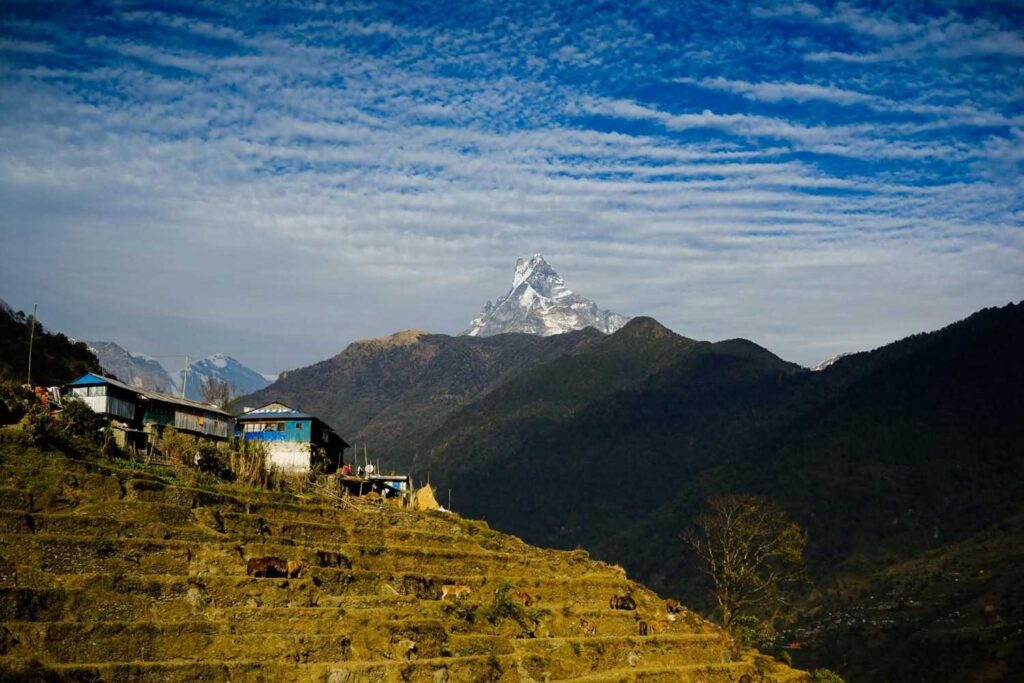 Terraced village with Machhapuchhre peak view on the Annapurna Trek