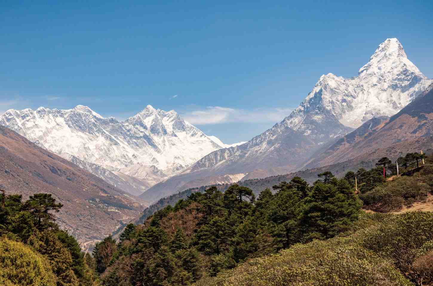 Everest and Ama Dablam peaks seen from a forested trail on the Everest Base Camp Trek