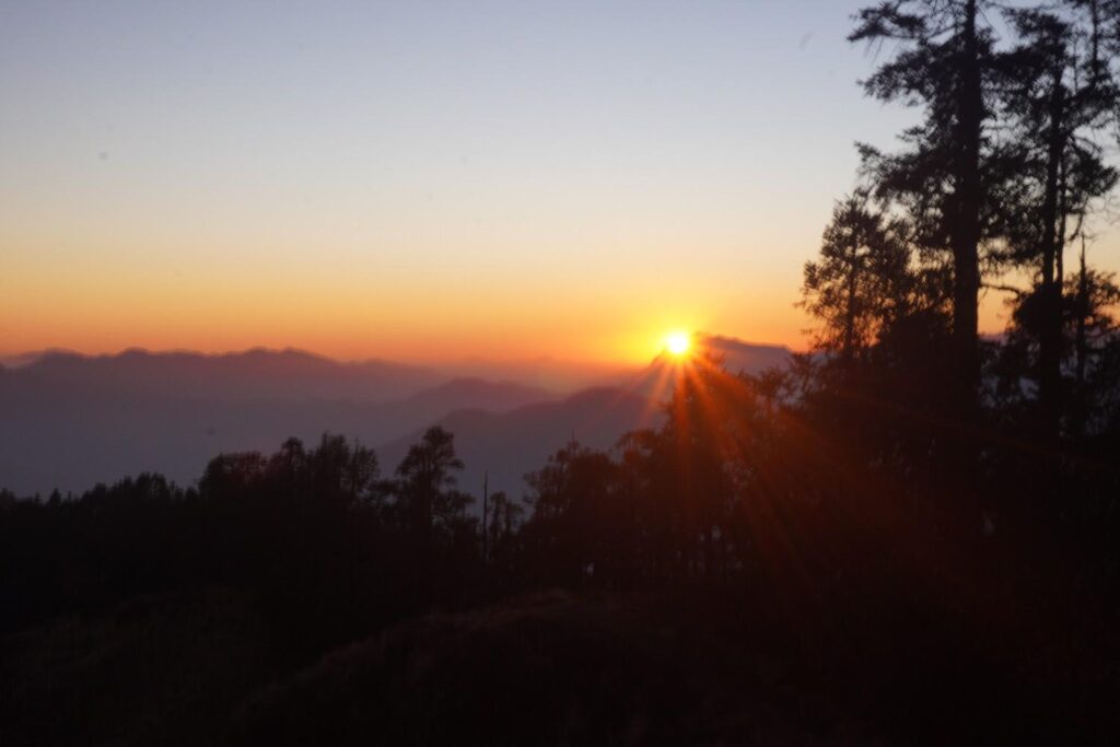Sunrise glowing through pine trees on a ridge along the Annapurna Community Trek